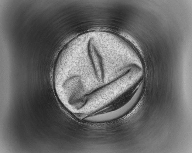 X0000095951049200802081253