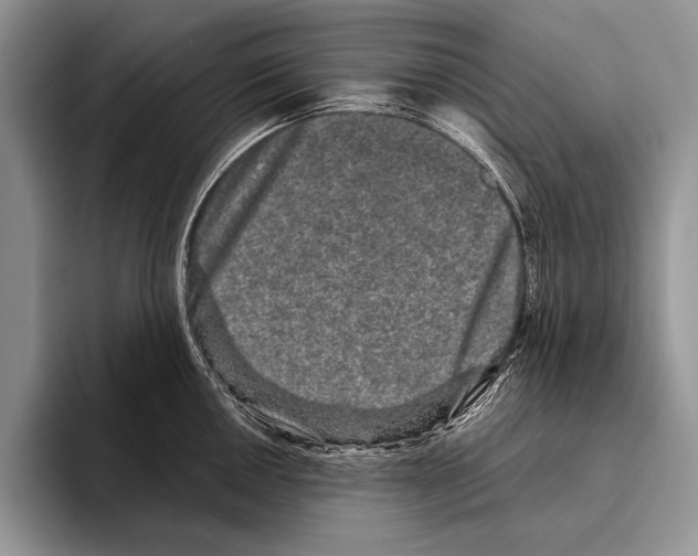 X0000095951050200802081253