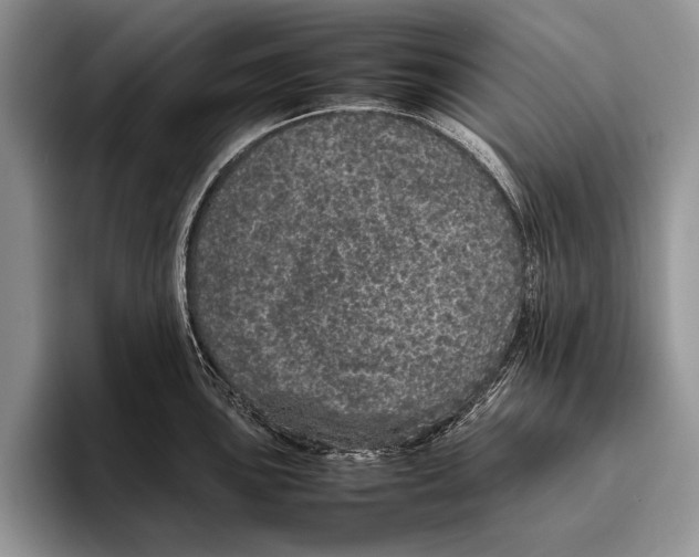 X0000095951051200802081253