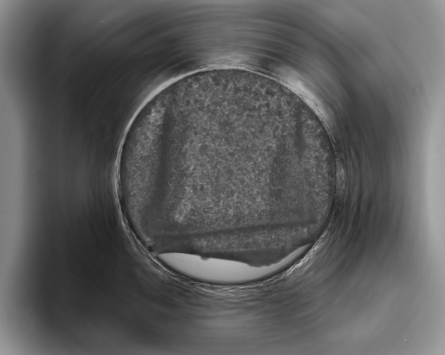 X0000095951052200802081253