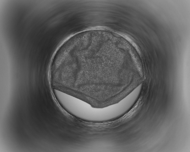 X0000095951054200802081253