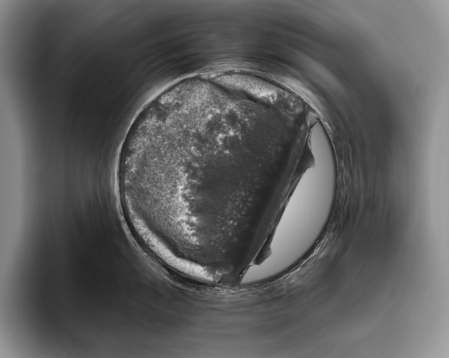 X0000095951055200802081253