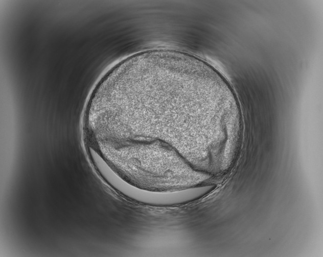 X0000095951056200802081253