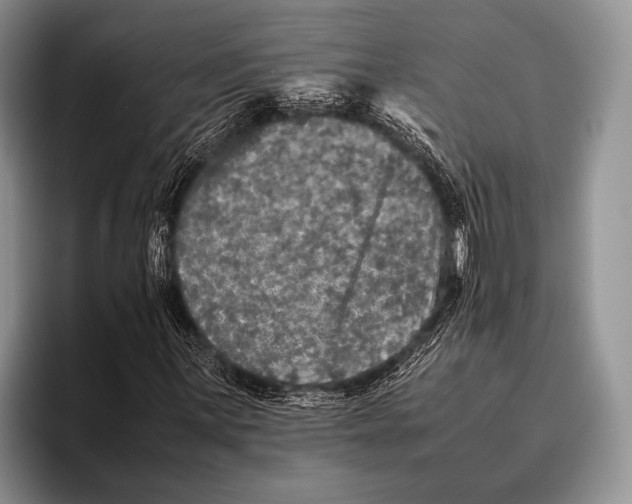 X0000095951059200802081253