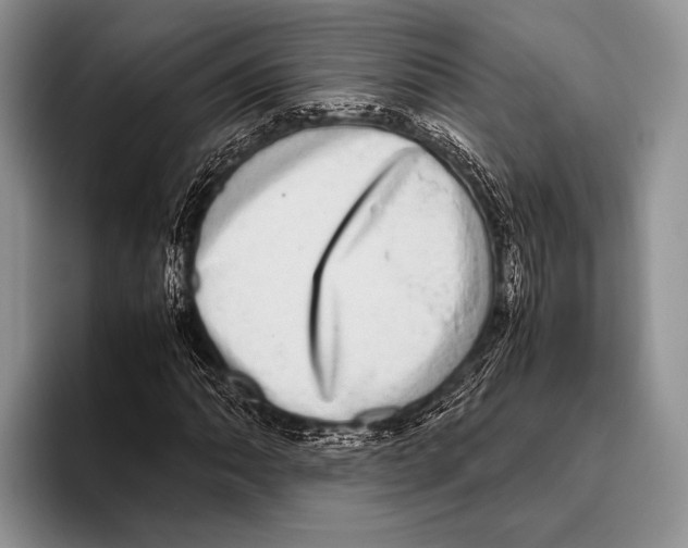 X0000095951062200802081253