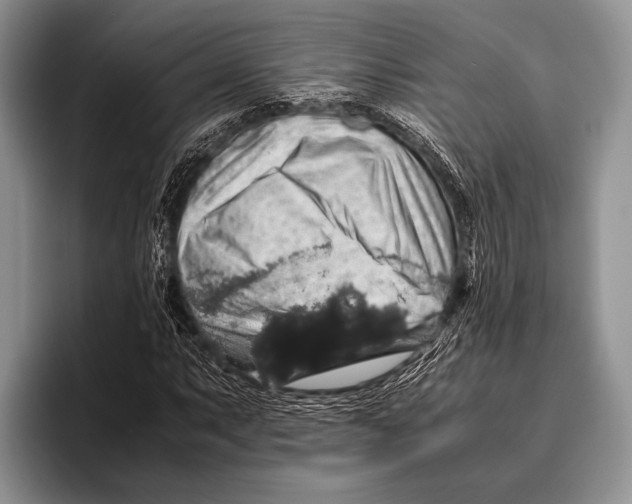 X0000095951063200802081253