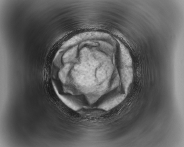 X0000095951064200802081253