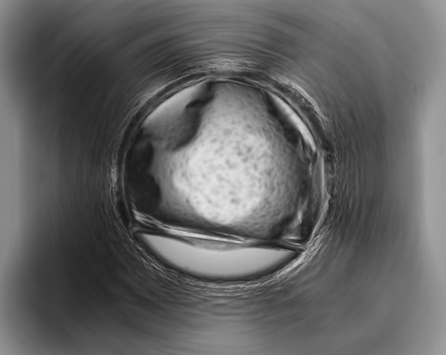 X0000095951065200802081253