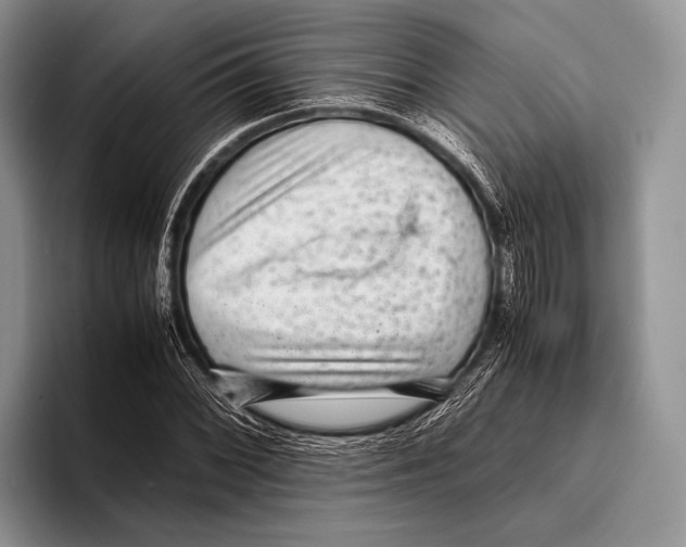 X0000095951068200802081253