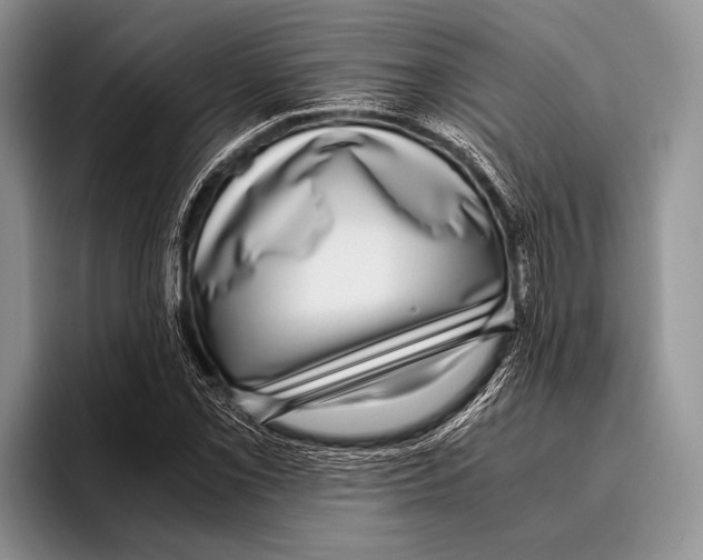 X0000095951069200802081253