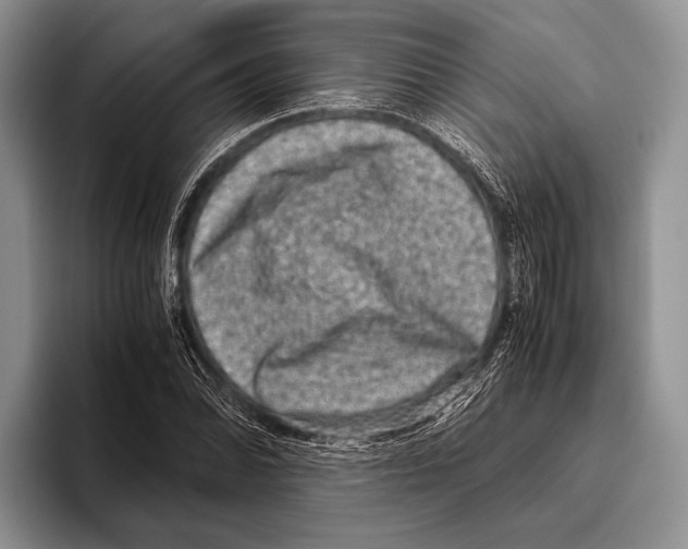 X0000095951070200802081253