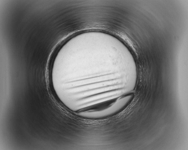 X0000095951072200802081253