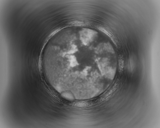 X0000095951074200802081252