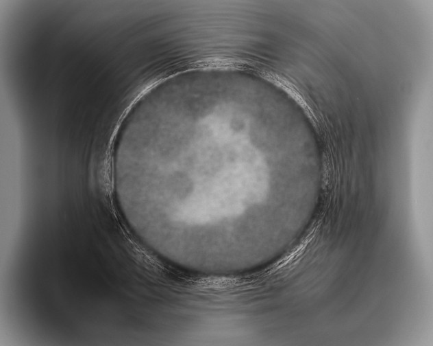 X0000095951075200802081252