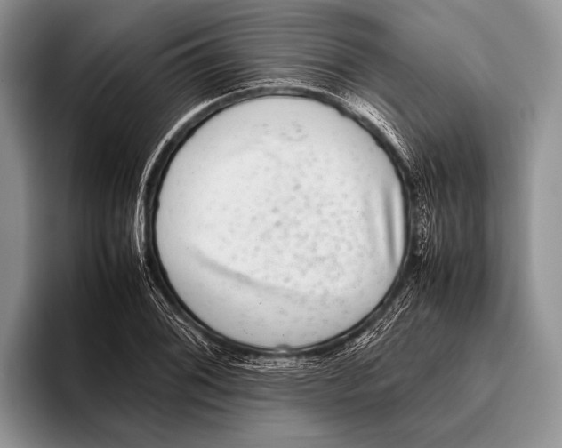 X0000095951076200802081252