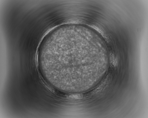 X0000095951078200802081252