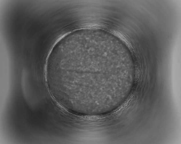 X0000095951079200802081252