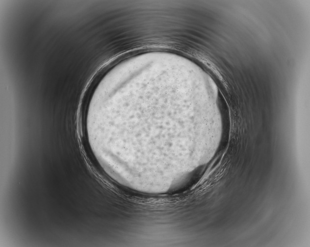 X0000095951080200802081252