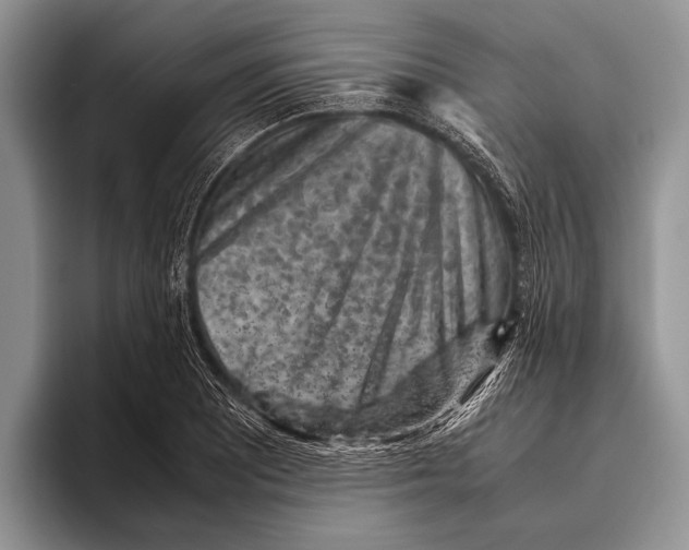 X0000095951081200802081252