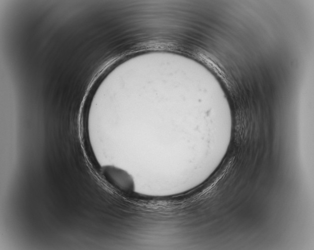 X0000095951082200802081252