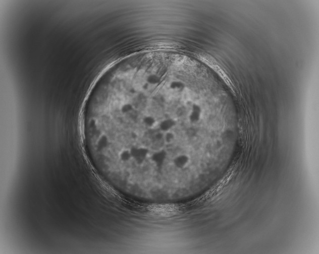 X0000095951083200802081252