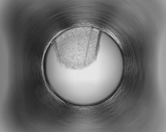 X0000095951084200802081252