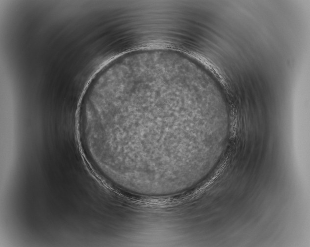 X0000095951086200802081252