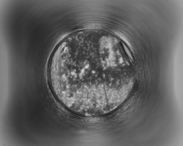 X0000095951087200802081252