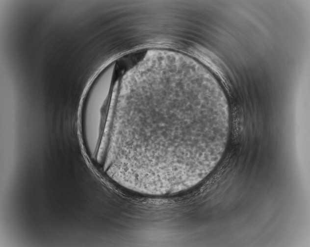 X0000095951088200802081252