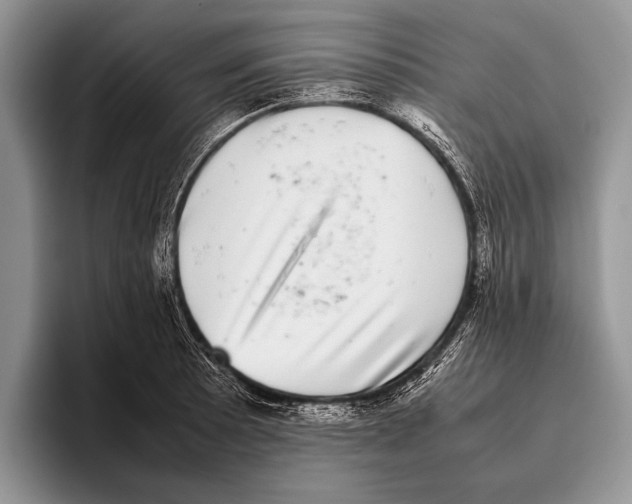 X0000095951089200802081252