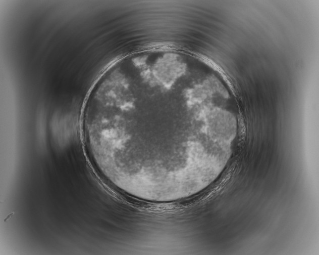 X0000095951090200802081252