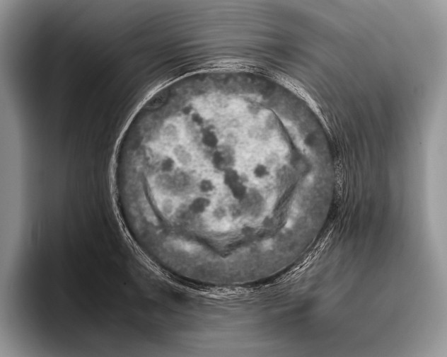 X0000095951091200802081252