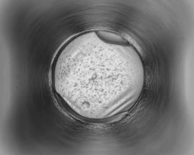 X0000095951092200802081252