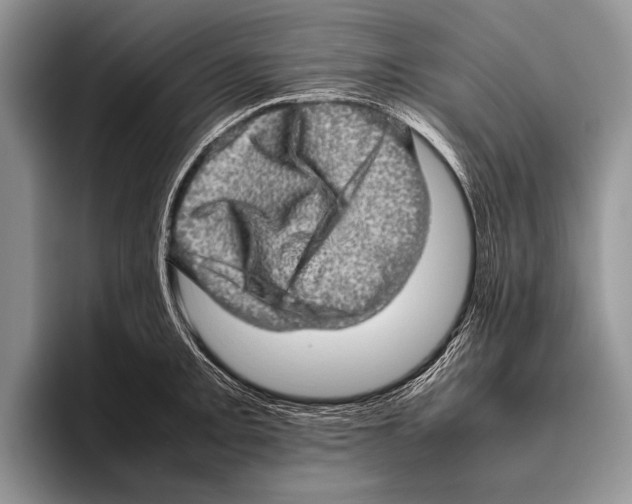 X0000095951093200802081252