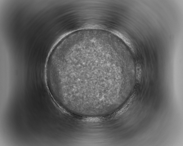 X0000095951094200802081252