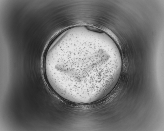 X0000095951096200802081252