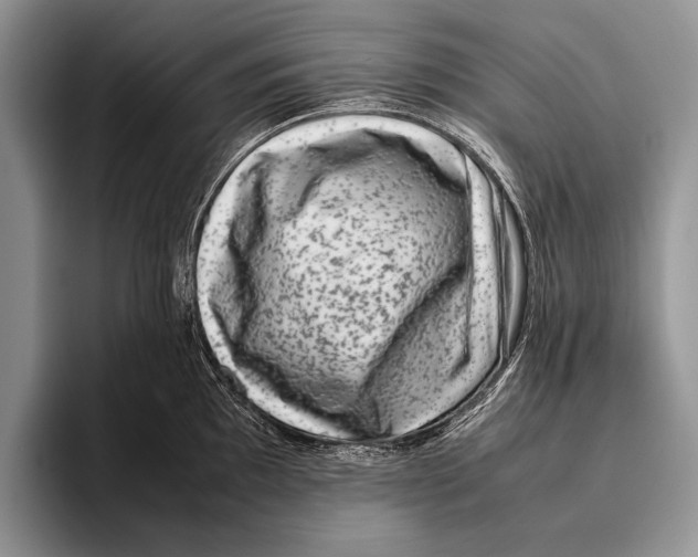 X0000095951097200802081252