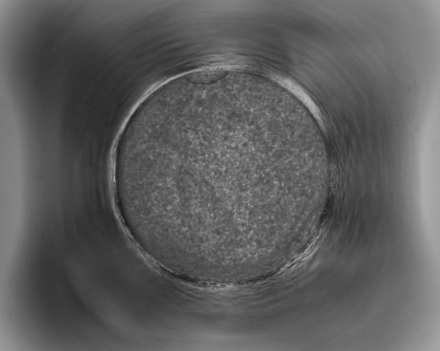 X0000095951099200802081252