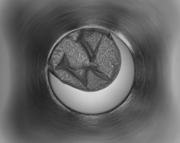 X0000095951100200802081252