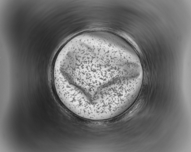 X0000095951101200802081252