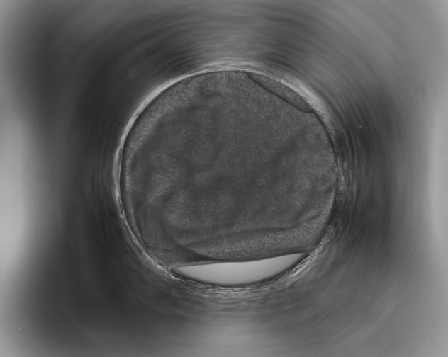 X0000095951102200802081252