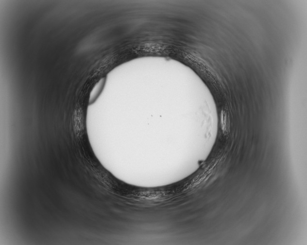 X0000095951107200802081251