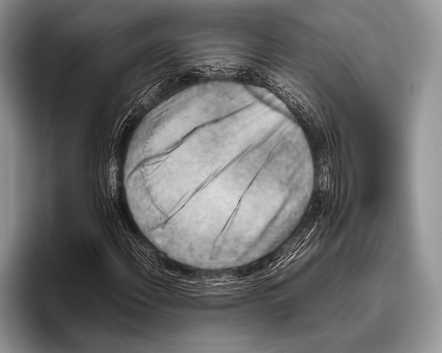 X0000095951108200802081252