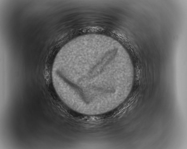 X0000095951109200802081252