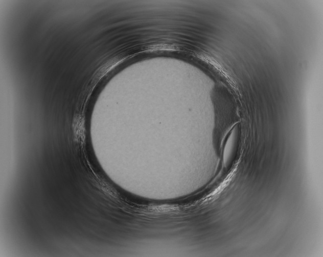 X0000095951113200802081252