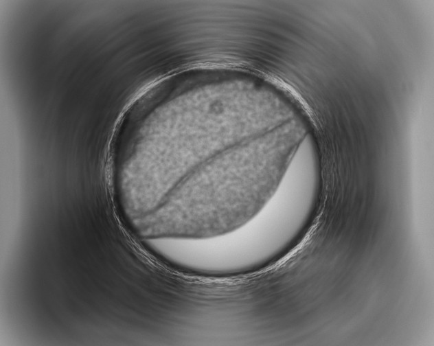 X0000095951114200802081252