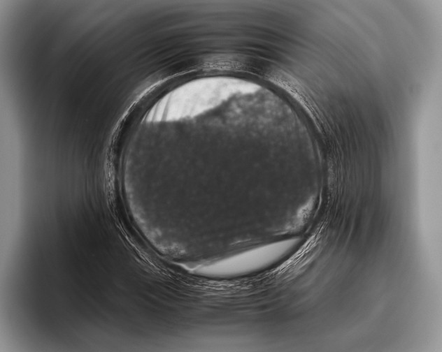 X0000095951115200802081252