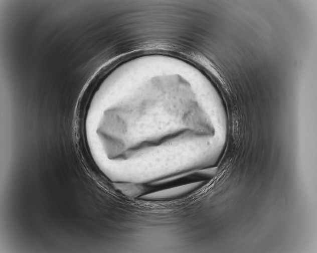 X0000095951116200802081252