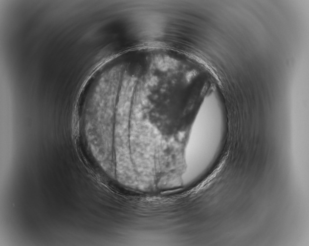 X0000095951117200802081252