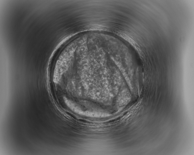 X0000095951120200802081252